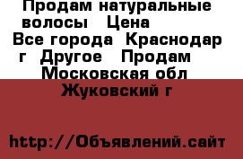 Продам натуральные волосы › Цена ­ 3 000 - Все города, Краснодар г. Другое » Продам   . Московская обл.,Жуковский г.